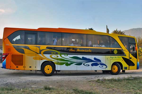 bus pariwisata